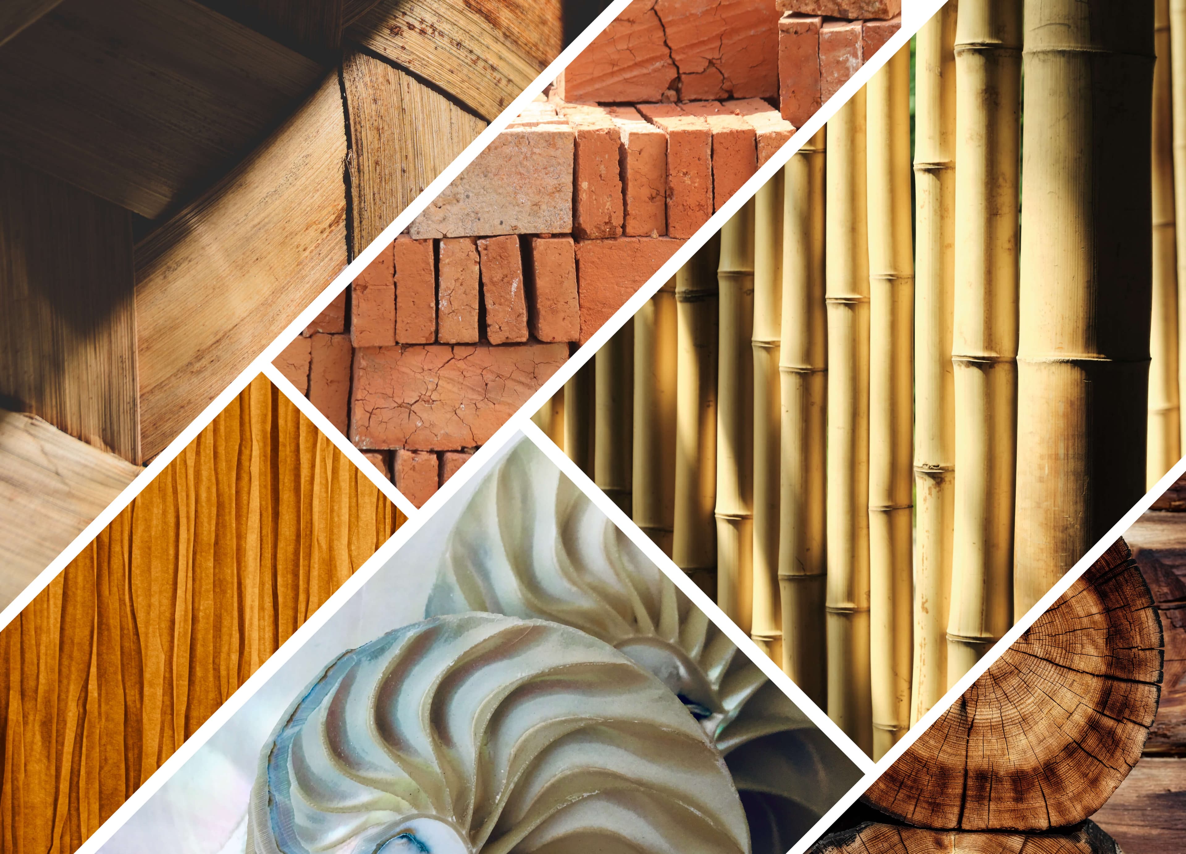 Textured facade with natural shading